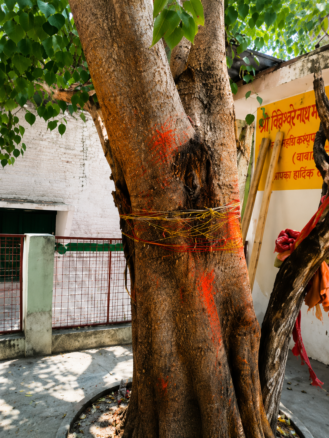 Temple